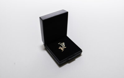 Tartu maakonna kõrgeim teenetemärk Tartumaa Kuldne Tammeoks ootab kandidaate